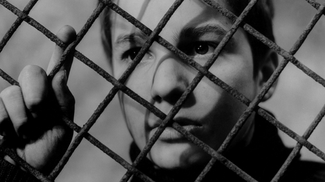 The 400 Blows